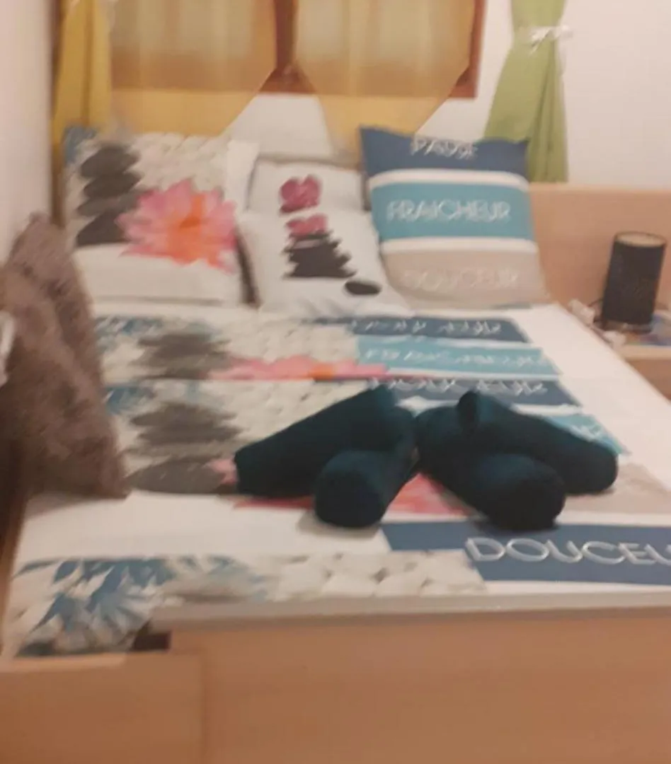 Le P'Tit Nid Cocodydy Apartment Baillif 0*,