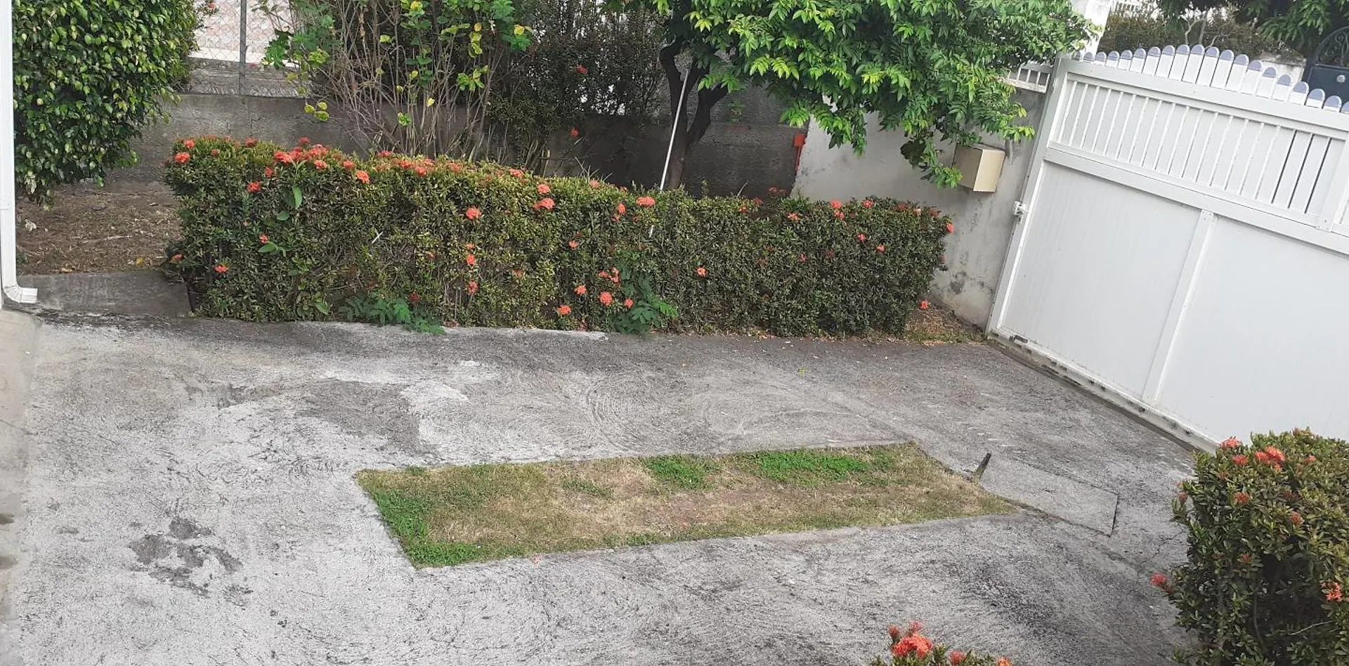 Le P'Tit Nid Cocodydy Apartment Baillif Guadeloupe