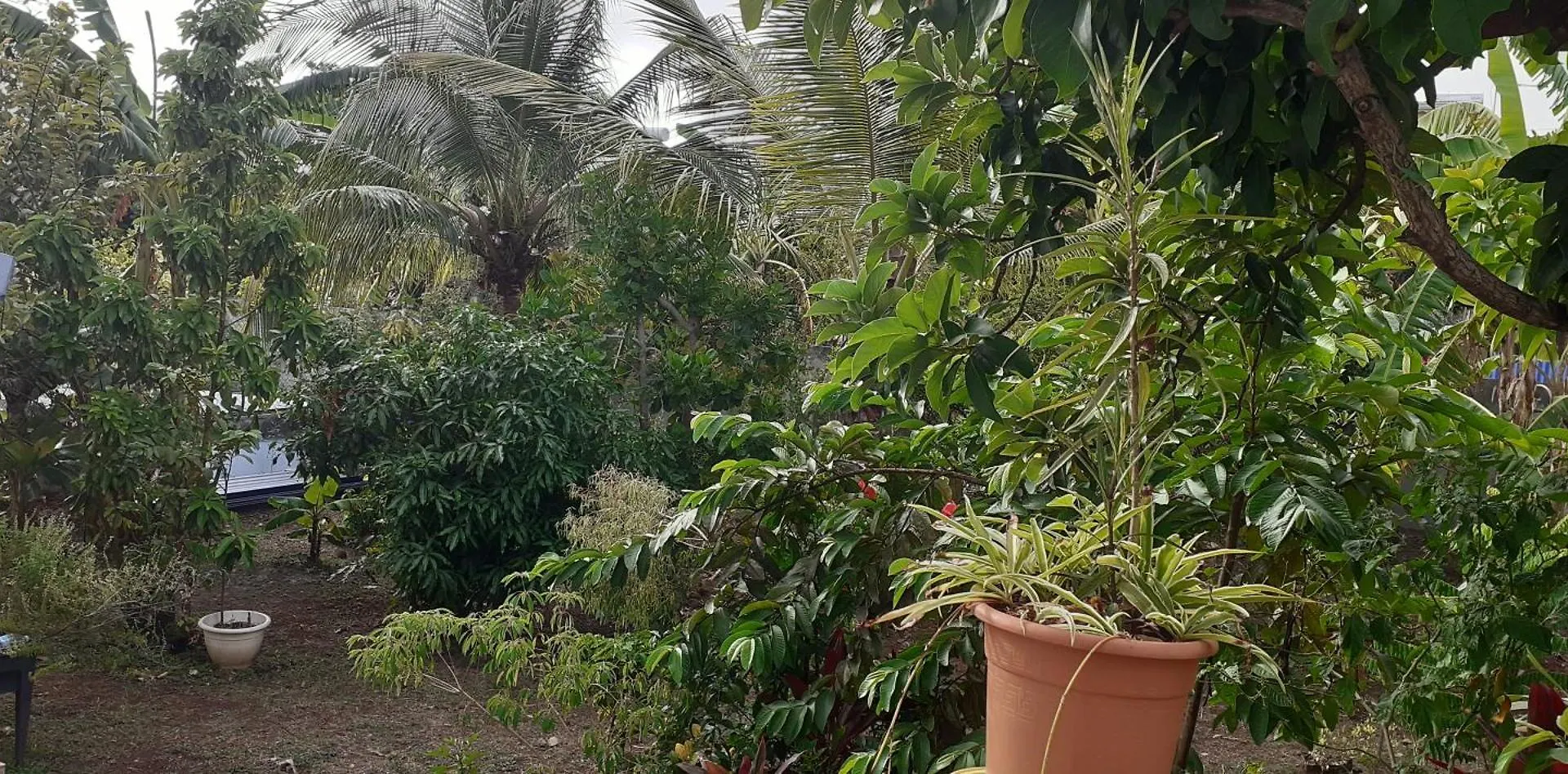 Le P'Tit Nid Cocodydy Apartment Baillif